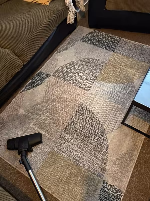 Rug before cleaning